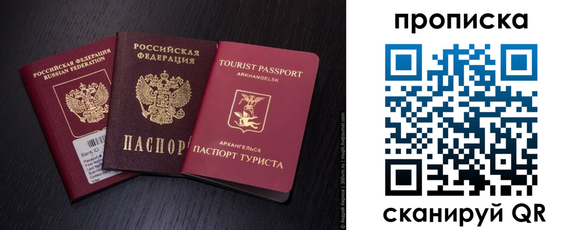 временная регистрация поиск в Белгороде